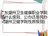 广东潮州卫生健康职业学院是什么级别，公办还是民办(潮州卫健学院性质级别)