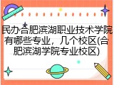 民办合肥滨湖职业技术学院有哪些专业，几个校区(合肥滨湖学院专业校区)