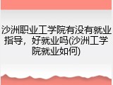沙洲职业工学院有没有就业指导，好就业吗(沙洲工学院就业如何)