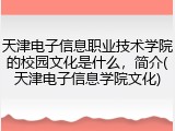 天津电子信息职业技术学院的校园文化是什么，简介(天津电子信息学院文化)