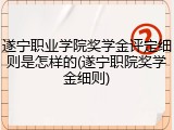 遂宁职业学院奖学金评定细则是怎样的(遂宁职院奖学金细则)