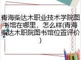 青海柴达木职业技术学院图书馆在哪里，怎么样(青海柴达木职院图书馆位置评价)