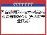 巴音郭楞职业技术学院的专业设置概况介绍(巴职院专业概览)