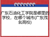 广东石油化工学院是哪里的学校，在哪个城市(广东茂名高校)