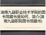 湖南九嶷职业技术学院的图书馆藏书量如何，简介(湖南九嶷职院图书馆藏书)