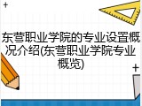 东营职业学院的专业设置概况介绍(东营职业学院专业概览)