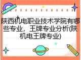 陕西机电职业技术学院有哪些专业，王牌专业分析(陕机电王牌专业)