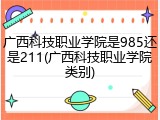 广西科技职业学院是985还是211(广西科技职业学院类别)