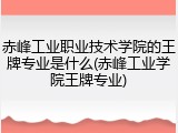 赤峰工业职业技术学院的王牌专业是什么(赤峰工业学院王牌专业)