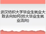武汉纺织大学毕业生就业大致去向如何(纺大毕业生就业流向)