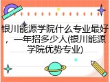 银川能源学院什么专业最好，一年招多少人(银川能源学院优势专业)