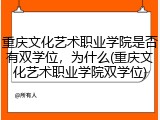 重庆文化艺术职业学院是否有双学位，为什么(重庆文化艺术职业学院双学位)