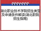 湖北职业技术学院招生类型及申请条件解读(湖北职院招生指南)