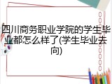 四川商务职业学院的学生毕业都怎么样了(学生毕业去向)