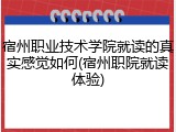 宿州职业技术学院就读的真实感觉如何(宿州职院就读体验)