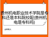 贵州机电职业技术学院是专科还是本科院校呢(贵州机电是专科吗)