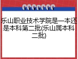 乐山职业技术学院是一本还是本科第二批(乐山属本科二批)