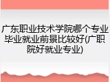 广东职业技术学院哪个专业毕业就业前景比较好(广职院好就业专业)