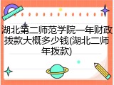 湖北第二师范学院一年财政拨款大概多少钱(湖北二师年拨款)