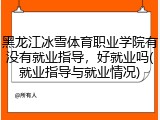 黑龙江冰雪体育职业学院有没有就业指导，好就业吗(就业指导与就业情况)