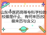 山东中医药高等专科学校的校徽是什么，有何来历(校徽来历与含义)