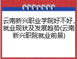 云南新兴职业学院好不好，就业现状及发展趋势(云南新兴职院就业前景)