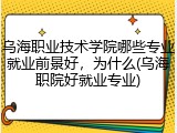 乌海职业技术学院哪些专业就业前景好，为什么(乌海职院好就业专业)