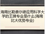 海南比勒费尔德应用科学大学的王牌专业是什么(海南比大优势专业)