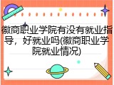 徽商职业学院有没有就业指导，好就业吗(徽商职业学院就业情况)
