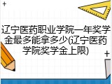辽宁医药职业学院一年奖学金最多能拿多少(辽宁医药学院奖学金上限)