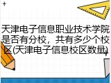 天津电子信息职业技术学院是否有分校，共有多少个校区(天津电子信息校区数量)