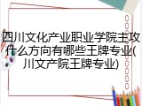 四川文化产业职业学院主攻什么方向有哪些王牌专业(川文产院王牌专业)