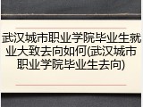 武汉城市职业学院毕业生就业大致去向如何(武汉城市职业学院毕业生去向)