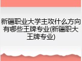新疆职业大学主攻什么方向有哪些王牌专业(新疆职大王牌专业)