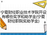 宁夏财经职业技术学院开设有哪些奖学和助学金(宁夏财经职院奖助学金)