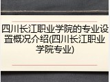 四川长江职业学院的专业设置概况介绍(四川长江职业学院专业)