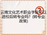 云南文化艺术职业学院可以进校后转专业吗？(转专业政策)