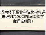 河南轻工职业学院奖学金评定细则是怎样的(河南奖学金评定细则)