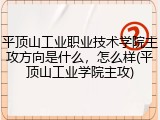 平顶山工业职业技术学院主攻方向是什么，怎么样(平顶山工业学院主攻)