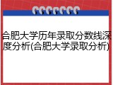 合肥大学历年录取分数线深度分析(合肥大学录取分析)