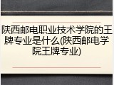 陕西邮电职业技术学院的王牌专业是什么(陕西邮电学院王牌专业)
