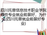 四川托普信息技术职业学院哪些专业就业前景好，为什么(四川托普就业前景好专业)
