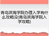 青岛滨海学院办理入学有什么攻略没(青岛滨海学院入学攻略)
