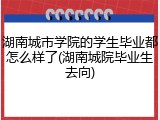 湖南城市学院的学生毕业都怎么样了(湖南城院毕业生去向)