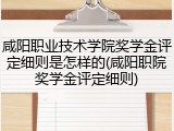 咸阳职业技术学院奖学金评定细则是怎样的(咸阳职院奖学金评定细则)