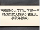 南京财经大学红山学院一年财政拨款大概多少钱(红山学院年拨款)