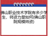 佛山职业技术学院有多少学生，师资力量如何(佛山职院规模师资)