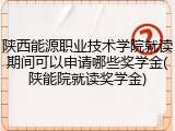 陕西能源职业技术学院就读期间可以申请哪些奖学金(陕能院就读奖学金)