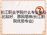 长江职业学院什么专业就业比较好，原因是啥(长江职院优势专业)