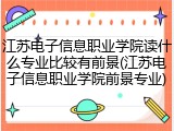 江苏电子信息职业学院读什么专业比较有前景(江苏电子信息职业学院前景专业)